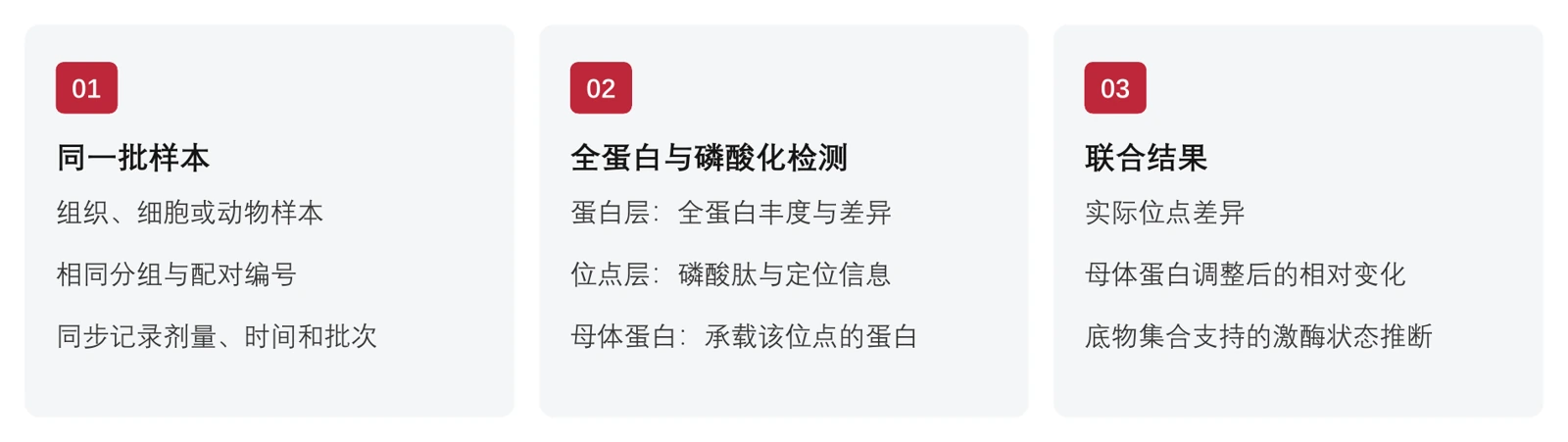 图1  方案结构示意：全蛋白提供母体蛋白丰度，磷酸化组提供定位与定量后的位点信息，两层共同支持位点变化解释。