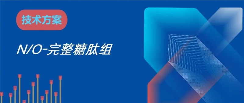 完整N/O-糖肽组技术方案
