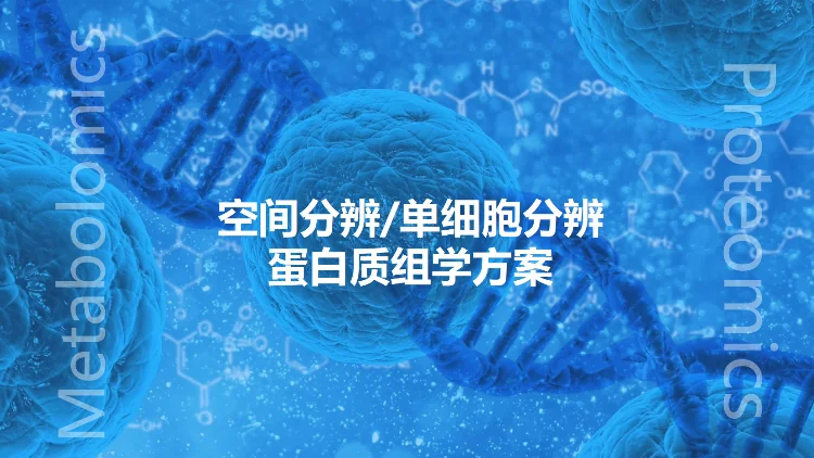 空间分辨和单细胞分辨蛋白组方案
