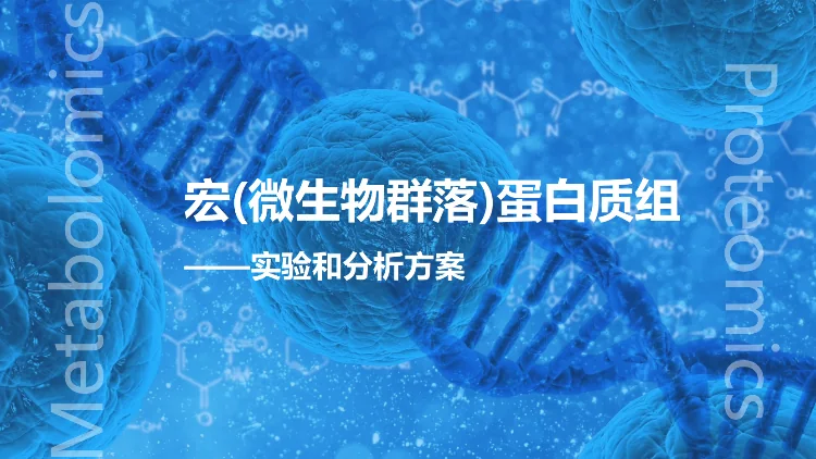 微生物菌群宏蛋白质组实验和分析方案--2025