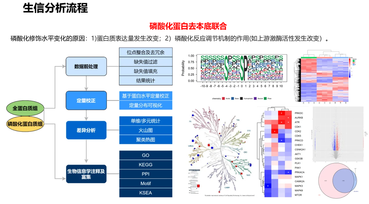 生物信息分析内容