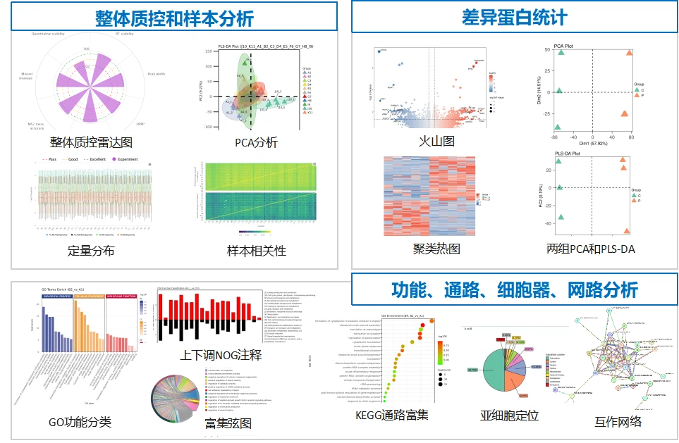 图片7_20250707_17518756763796480