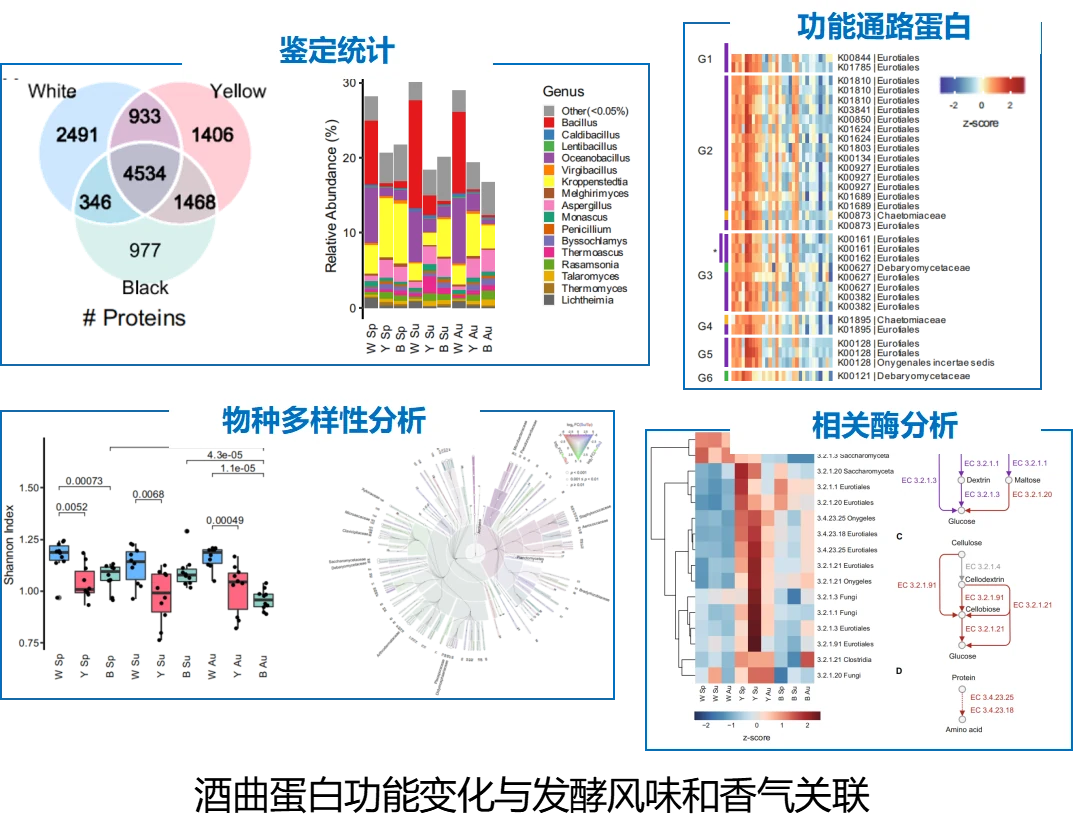 图片28