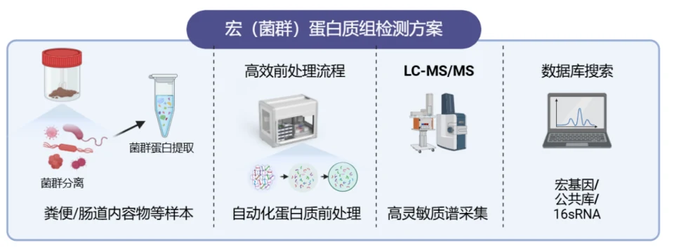 宏蛋白质组分析流程