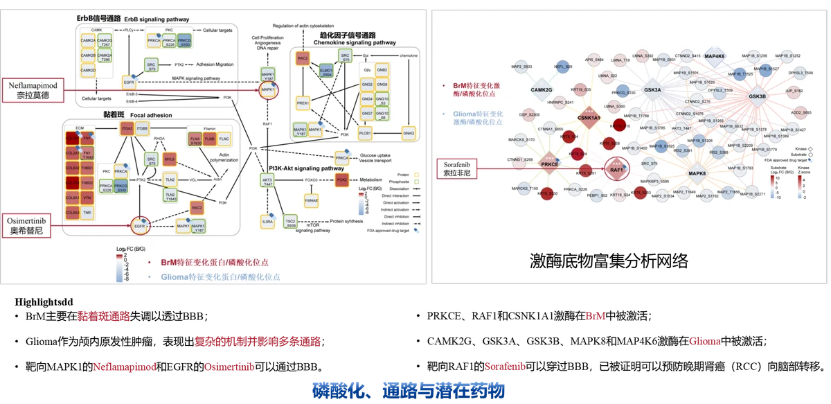图片41