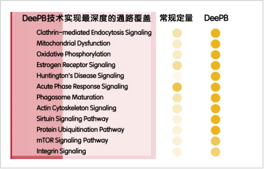 图片23