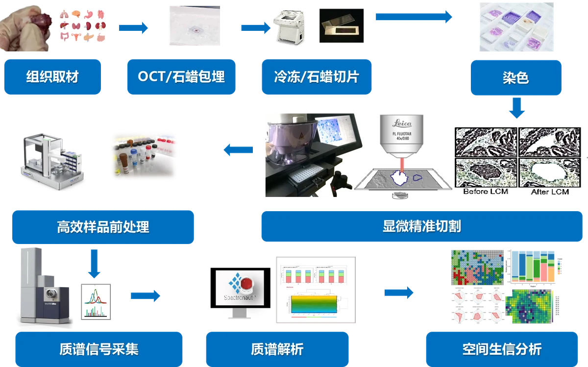 图片46