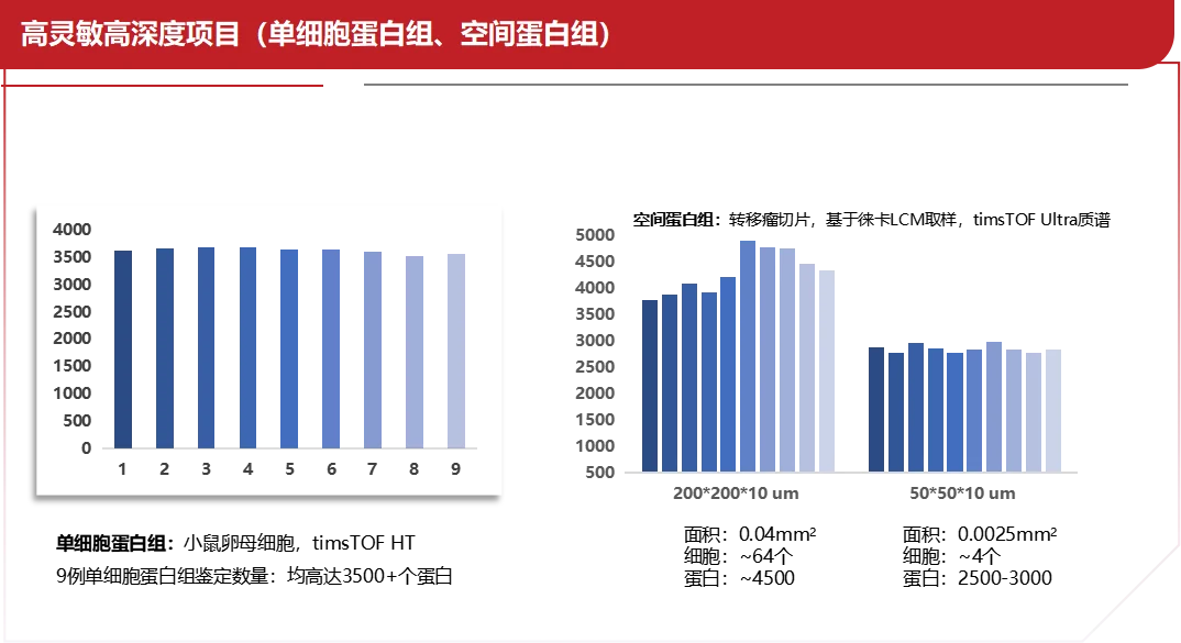图片7