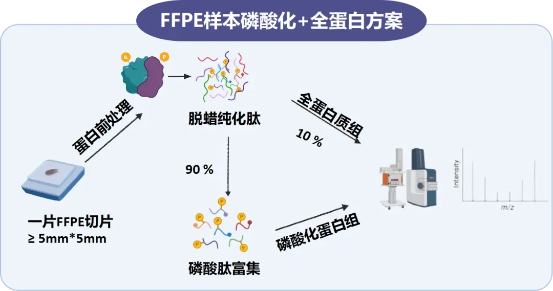 FFPE方案流程