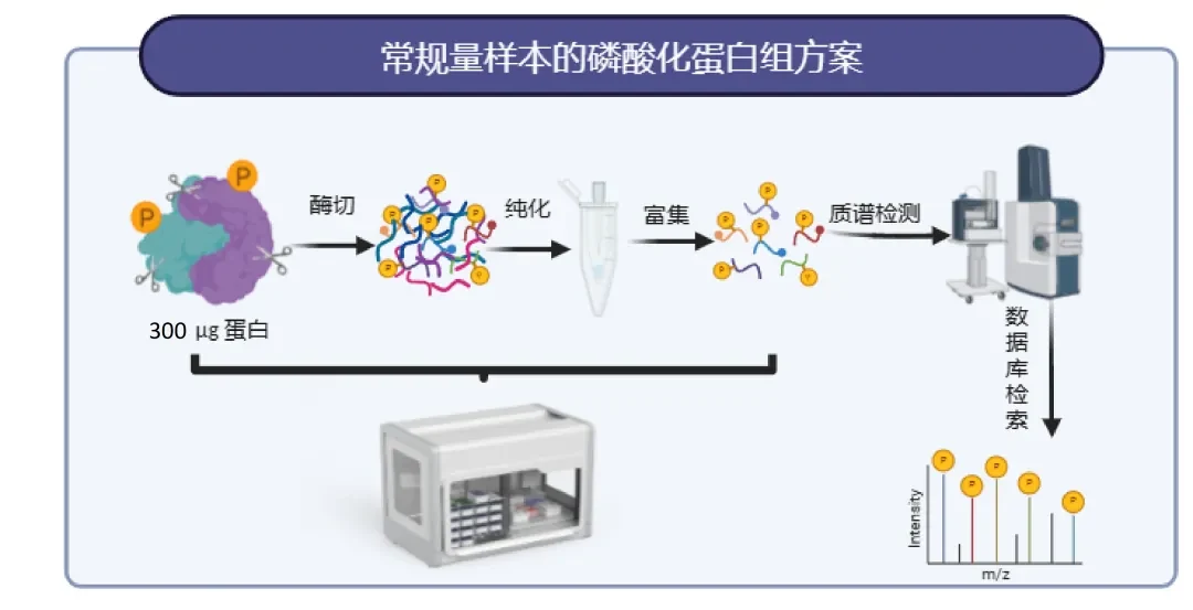 常规方案流程