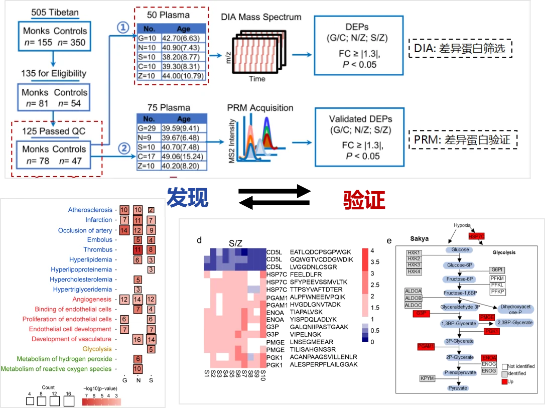 图片8_20250724_17533456048269100