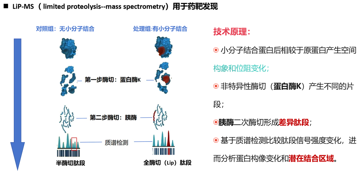 LiP-MS技术图示