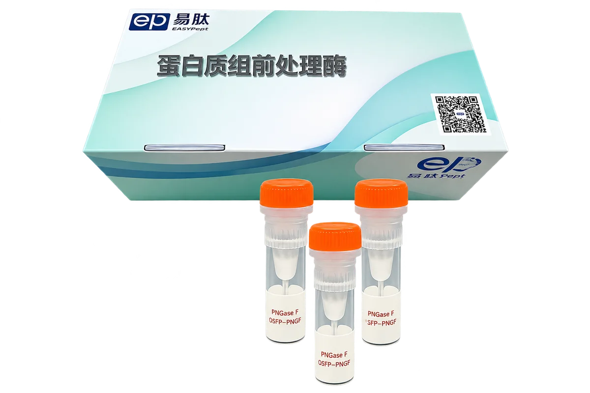 易肽 PNGase F 糖苷酶