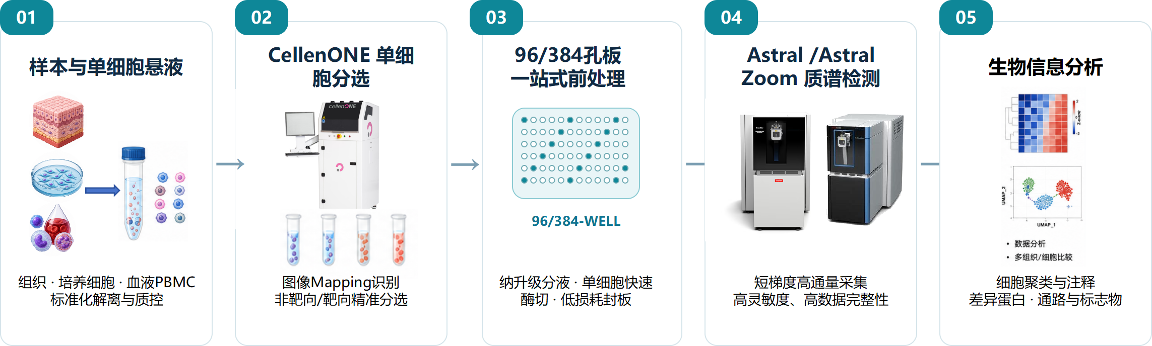 单细胞悬液制备、CellenONE 分选、前处理、纳流质谱与分析流程