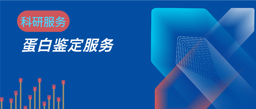 蛋白鉴定demo报告资料图 1