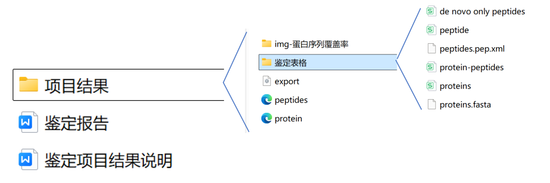蛋白鉴定demo报告资料图 2