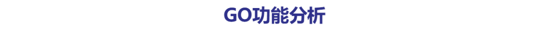 宏蛋白质组demo报告资料图 4