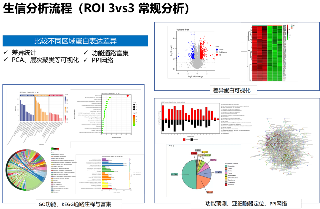 空间/单细胞蛋白组demo报告资料图 3