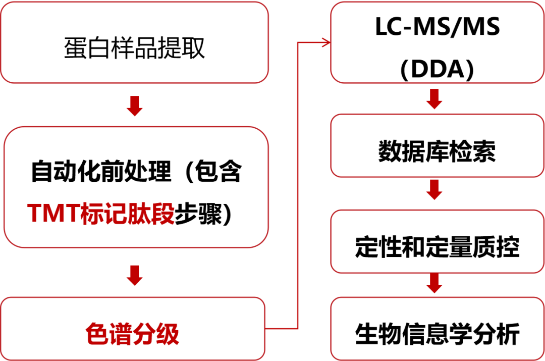 TMT-DDA定量蛋白质组检测服务资料图 3