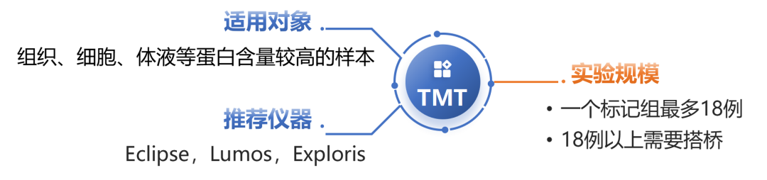 TMT-DDA定量蛋白质组检测服务资料图 4