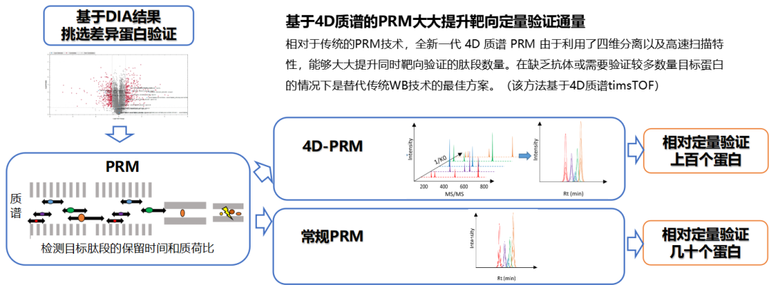 PRM靶向定量蛋白质组检测服务资料图 4