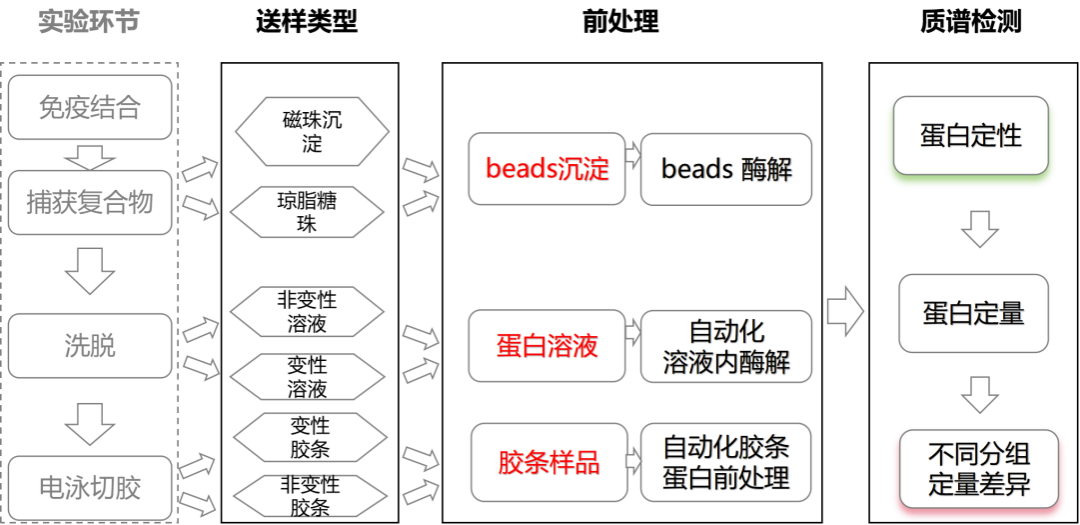 蛋白鉴定(beads/溶液/胶条)检测服务资料图 2