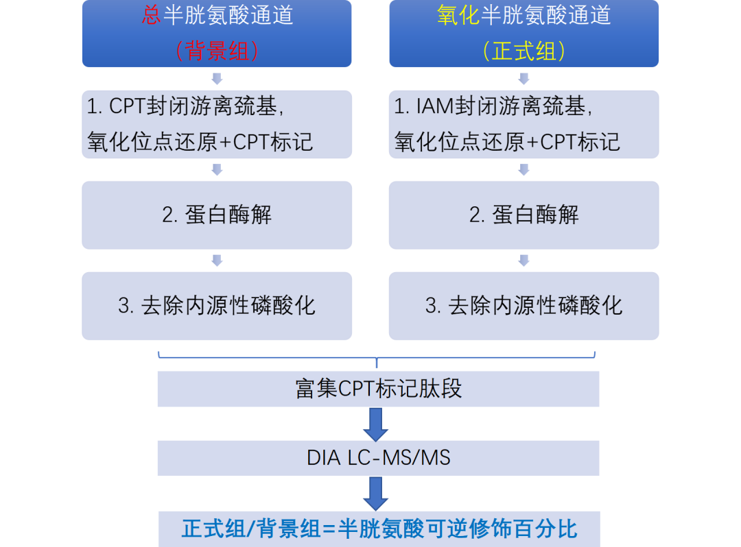 氧化修饰比例蛋白组技术方案资料图 2