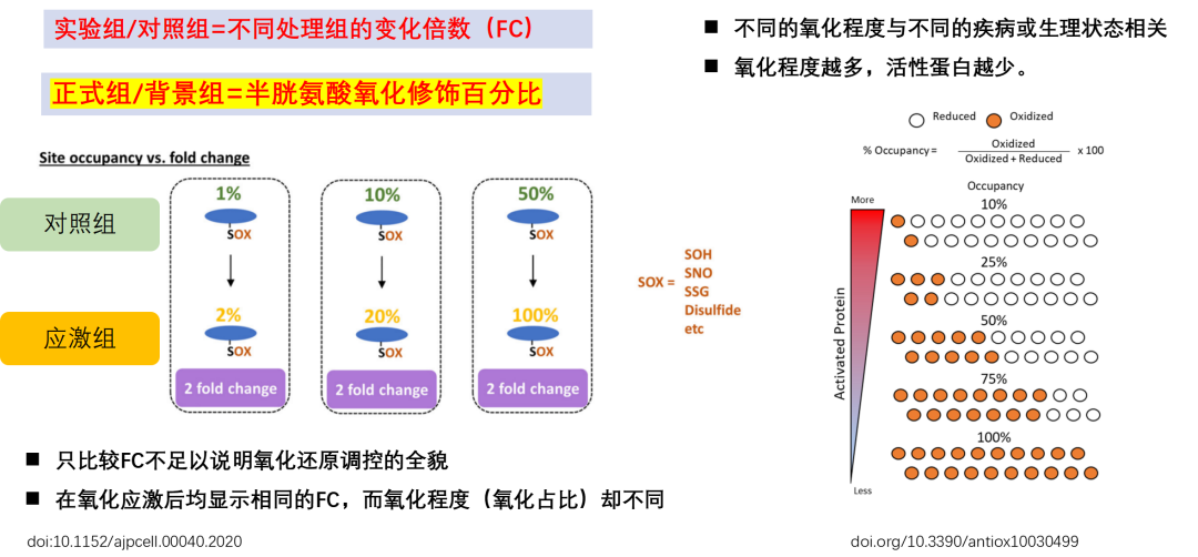 氧化修饰比例蛋白组技术方案资料图 4