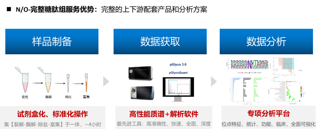 完整N/O-糖肽组技术方案资料图 2