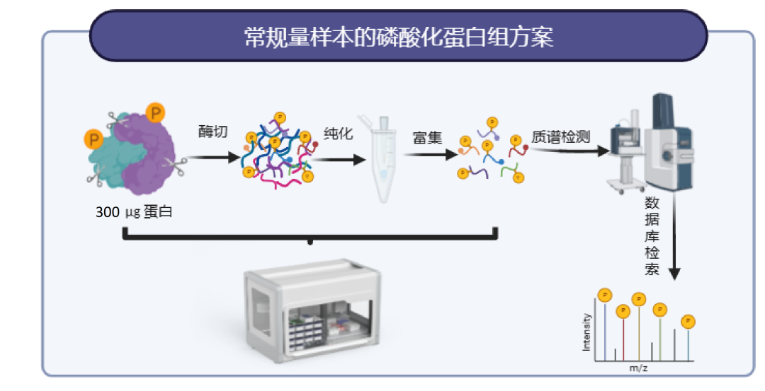 微量磷酸化+全蛋白组技术方案资料图 2