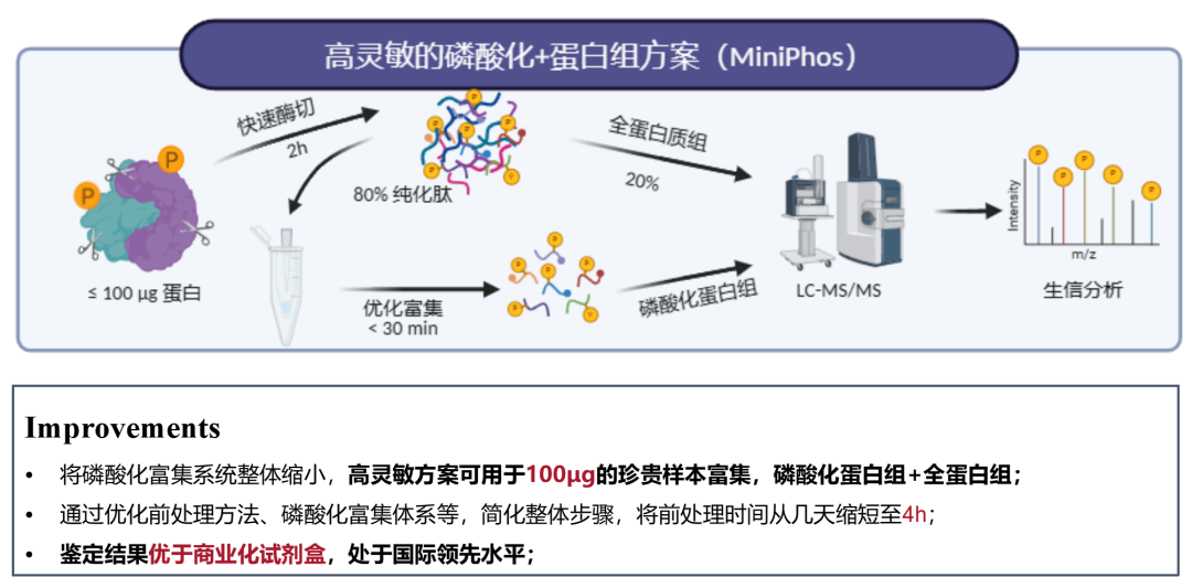 微量磷酸化+全蛋白组技术方案资料图 3