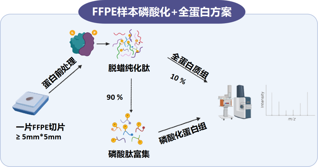 微量磷酸化+全蛋白组技术方案资料图 4