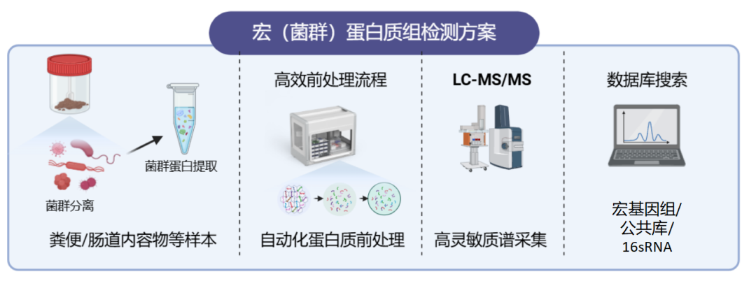 （菌群）宏蛋白质组技术方案资料图 2