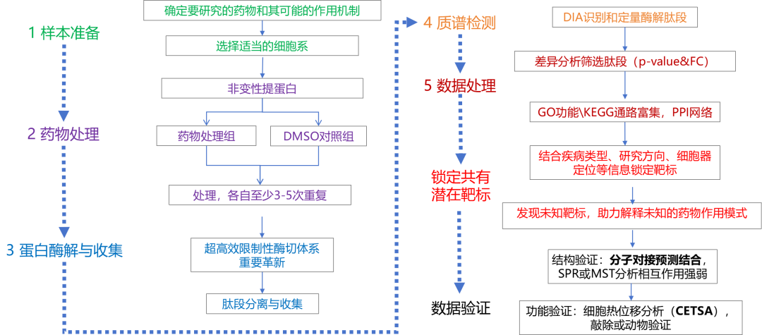 2025药靶识别蛋白组:LiP-MS最新升级资料图 2