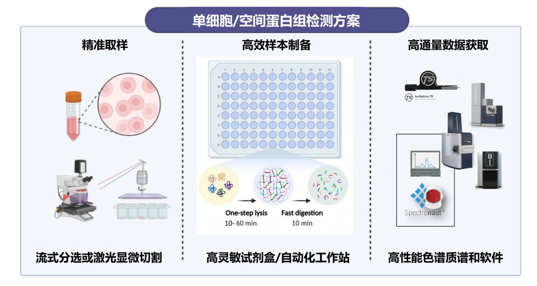 空间或单细胞蛋白质组技术方案资料图 2