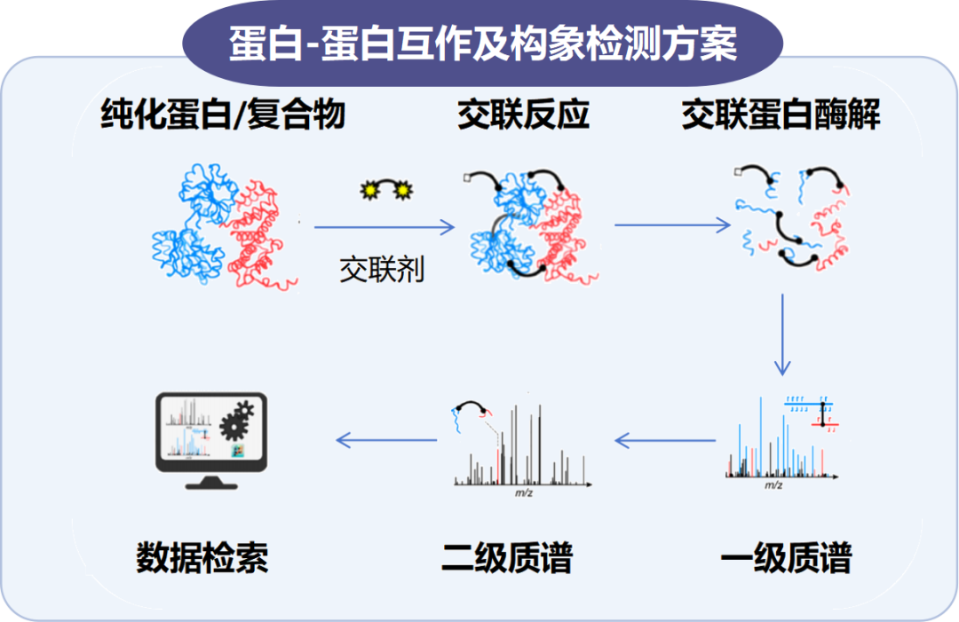 交联质谱技术方案资料图 2