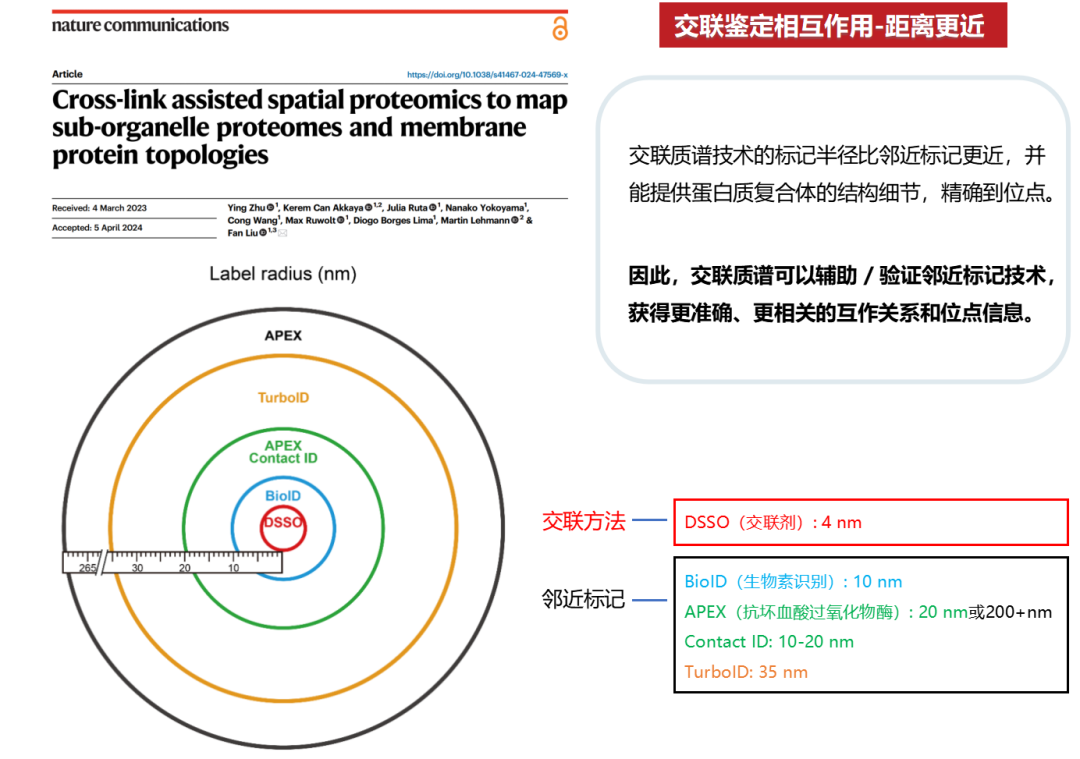 交联质谱技术方案资料图 3