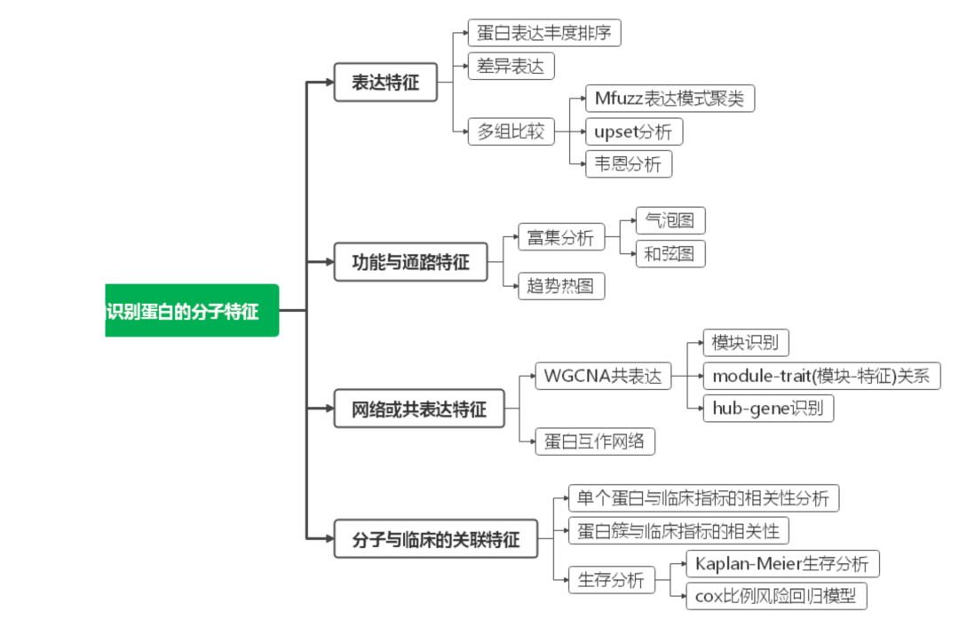 识别蛋白的分子特征-分析方案资料图 2